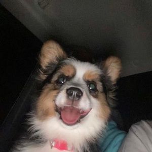 Meet your Posher, Becca